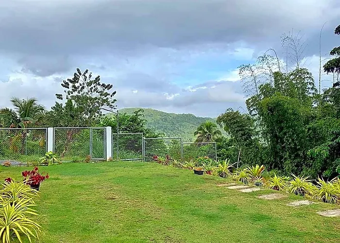 A Fresh Escape From Noises Hotel Cebu